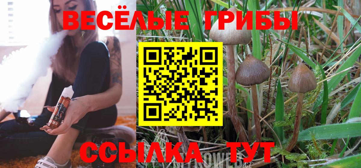 Псилоцибиновые грибы Magic Shrooms Выборг