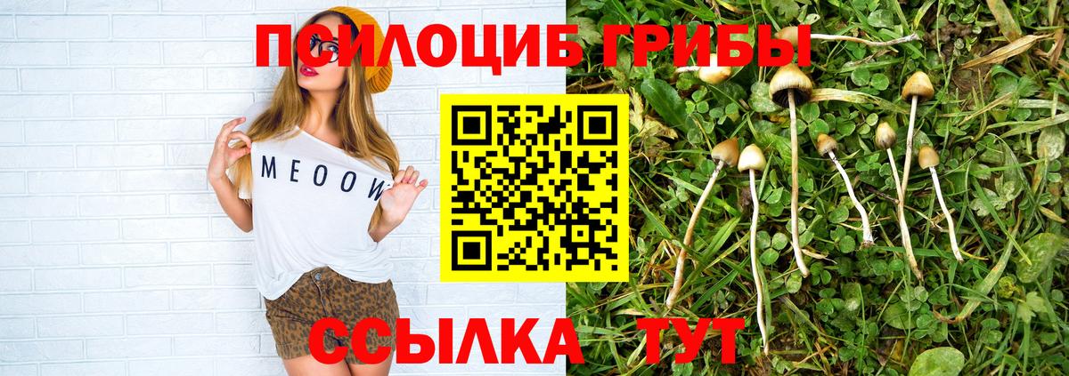 даркнет сайт  Галлюциногенные грибы прущие грибы  Вход с VPN  Выборг 
